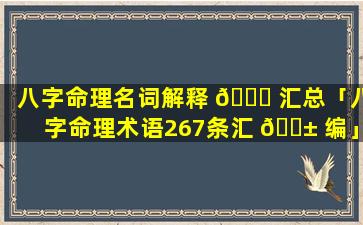 八字命理名词解释 🐒 汇总「八字命理术语267条汇 🐱 编」